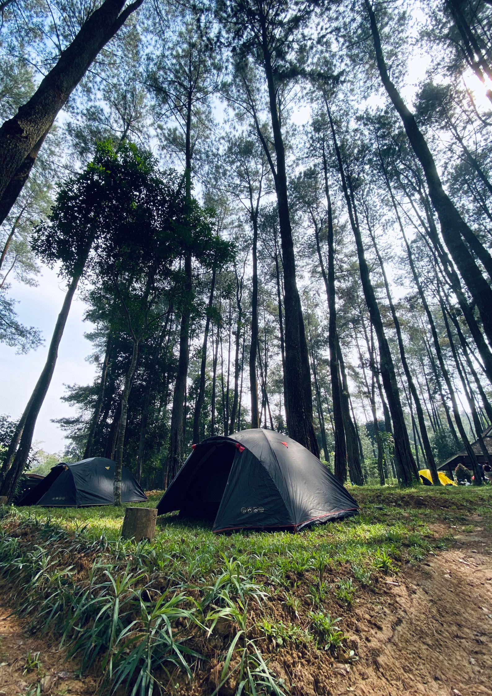 Camping Ceria
